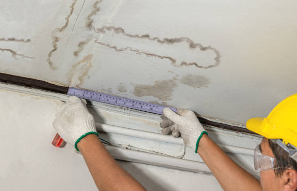 Reliable Mold Remediation contractor in New Boston, MI by Local Water Damage Repair